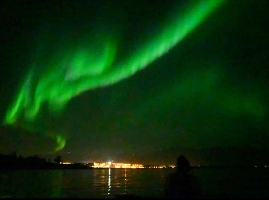 Tromsø: Northern Lights Chase — Small Group Experience - Key Things I’d Prioritize Before Booking
