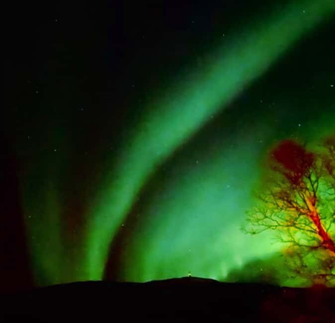 Tromsø: Northern Lights Chase — Small Group Experience - Timing and the 02:00 Drop-Off Back in Tromsø