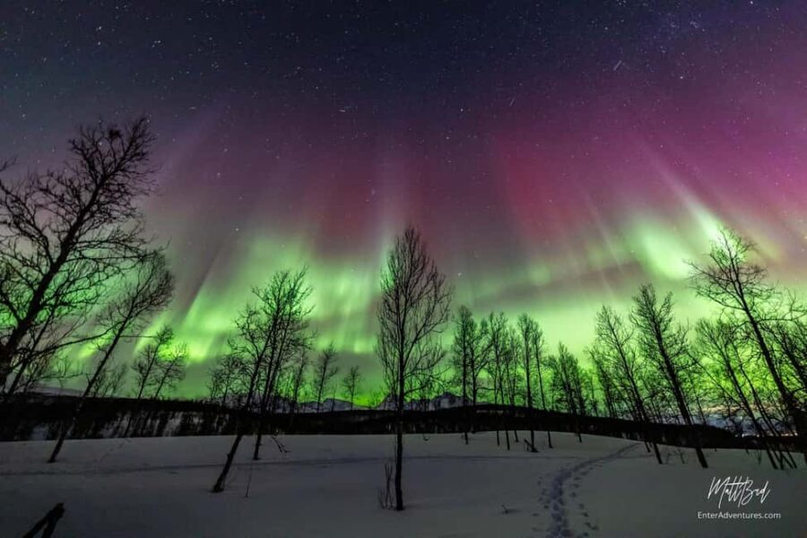 Tromsø: Northern Lights Chase with Expert Guides & Photos - What you can count on, and what you cannot