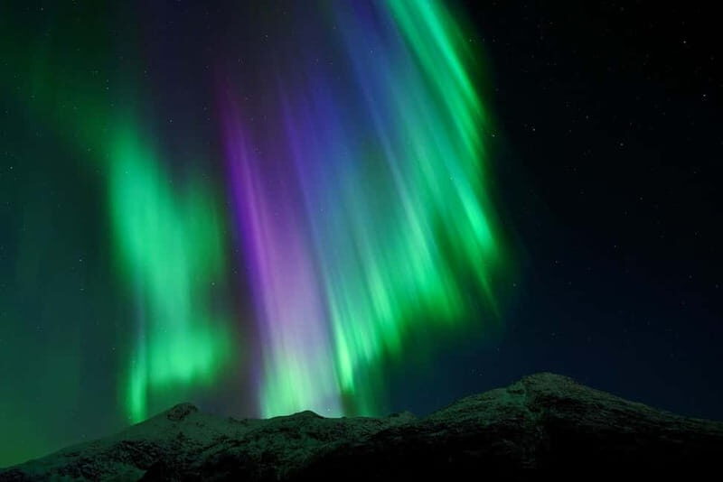 Tromsø: Northern Lights Chase with Local Guide & Free Photos - Key Reasons This Tromsø Aurora Chase Works