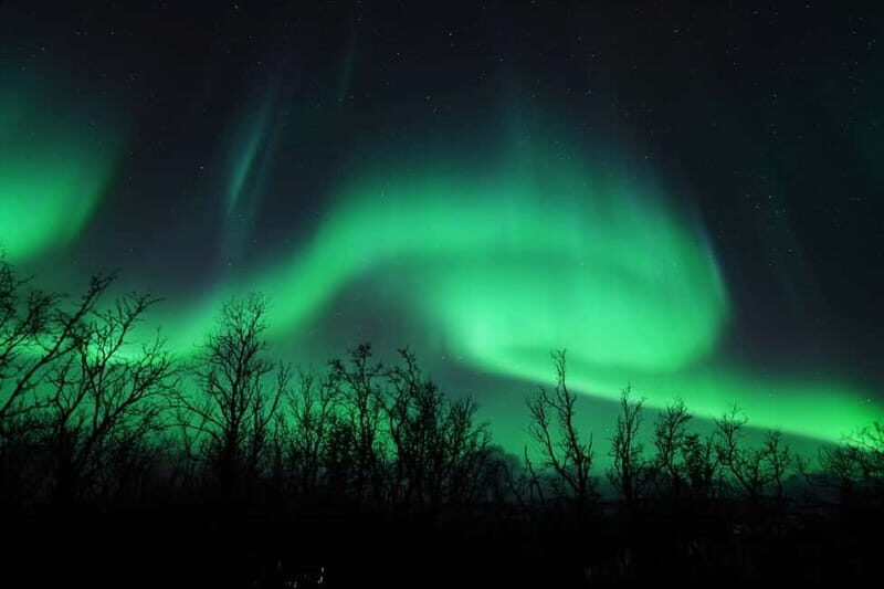 Tromsø: Northern Lights Chase with Local Guide & Free Photos - Staying Warm: Thermal Suit, Hot Drinks, and Smart Cold-Time Management