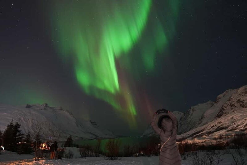 Tromsø: Northern Lights Chase with Local Guide & Free Photos - Photo Stops and the Big Reason People Choose This Tour