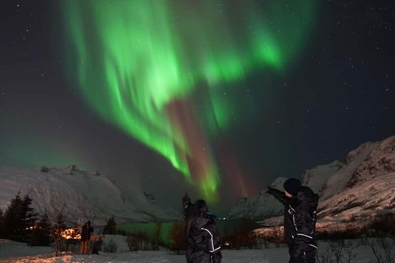 Tromsø: Northern Lights Chase with Local Guide & Free Photos - Price and Value: What $136 Is Really Buying