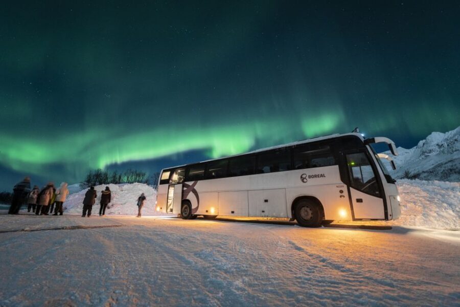 Tromso: Northern Lights Chase with Photo Package Included - Why This Tromsø Northern Lights Chase Works Better Than Just Waiting