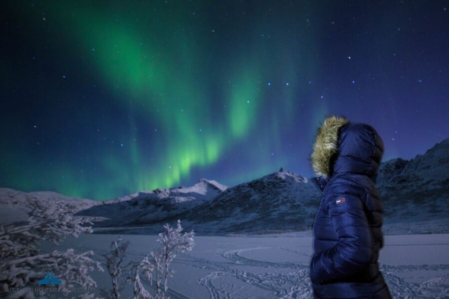 Tromso: Northern Lights Chase with Photo Package Included - Price and Value: What $135 Gets You for One Night in Tromsø