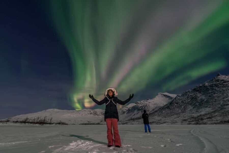 Tromsø: Northern Lights Chase with Photos and Guide - Value at $162: What You’re Buying Besides a Bus Ride