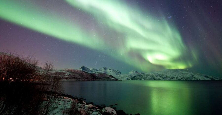 Tromsø: Northern Lights Cruise with 2nd Chance Guarantee - Why a Tromsø catamaran feels smarter than a bus for the Aurora