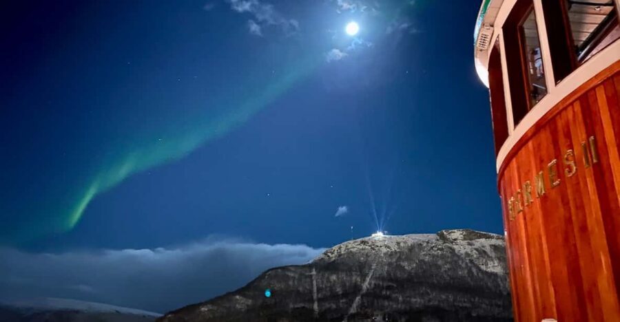 Tromsø: Northern Lights Dinner Cruise - Should You Book? My Practical Take