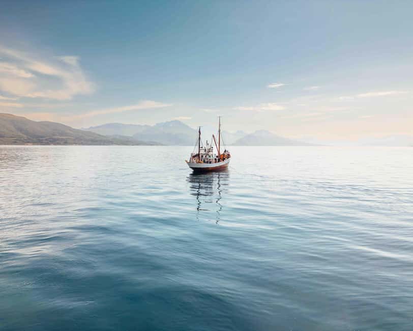 Tromsø: Northern Lights Dinner Cruise - The 3-Course Dragøy Dinner: Hands-On Fish Cake, Creamy Soup, Lefse