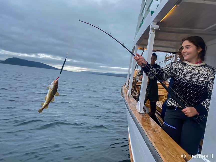 Tromsø: Northern Lights Dinner Cruise - Price and Value in Tromsø: What $198 Really Covers