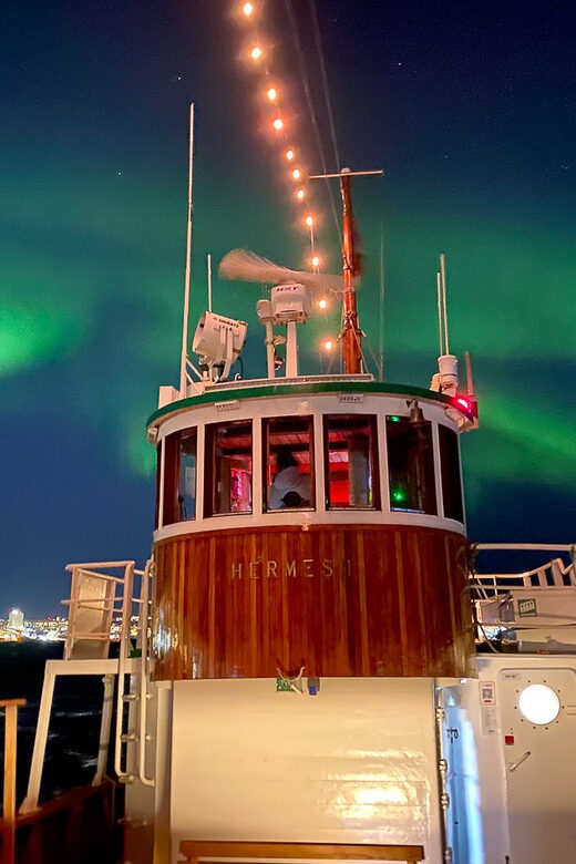 Tromsø: Northern Lights Dinner Cruise - Who This Northern Lights Dinner Cruise Fits Best