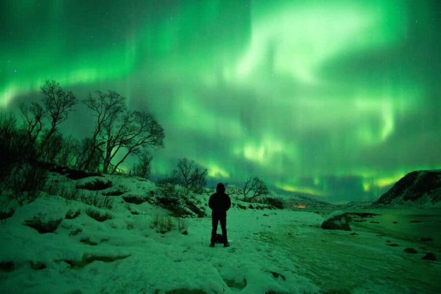 Tromsø: Northern Lights Hunt with a Professional Photographer in Italian - The Sky Lesson: Science, Constellations, and What You’re Seeing