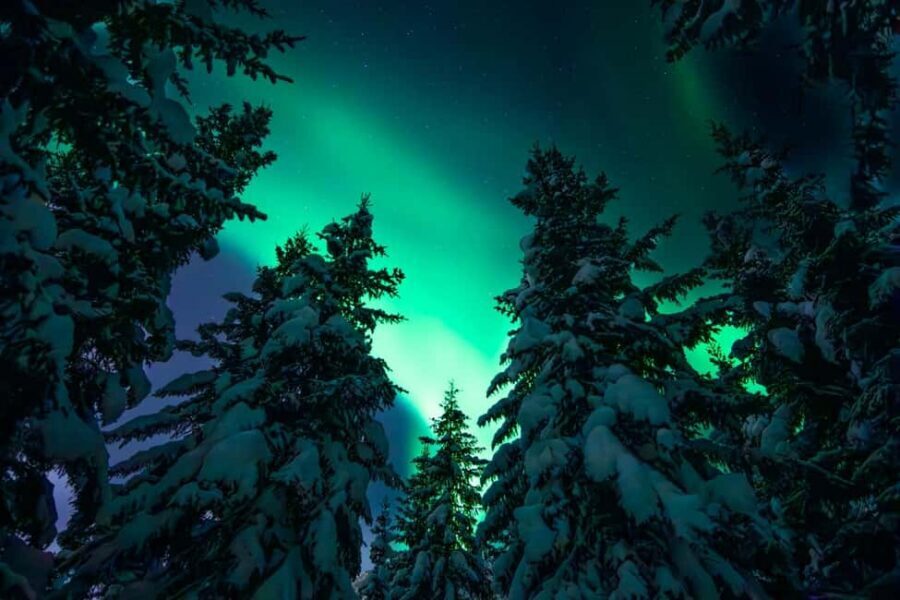 Tromsø: Northern Lights Hunt with a Professional Photographer in Italian - Meeting Mirko at the Ice Bar and Leaving City Lights Behind