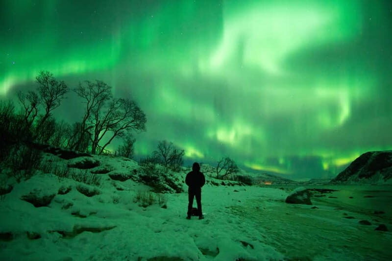 Tromsø: Northern Lights Hunt with Photographer - Key things that make this night work