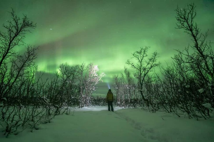 Tromsø: Northern Lights Hunt with Photos and Hot Food - Timing and logistics: what an 8-hour night really feels like