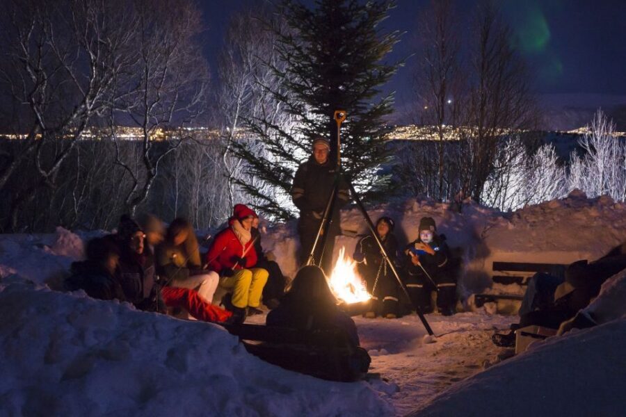 Tromsø: Northern Lights Husky Visit with Traditional Dinner - Tromsø Northern Lights and huskies: the logic behind the 4-hour setup