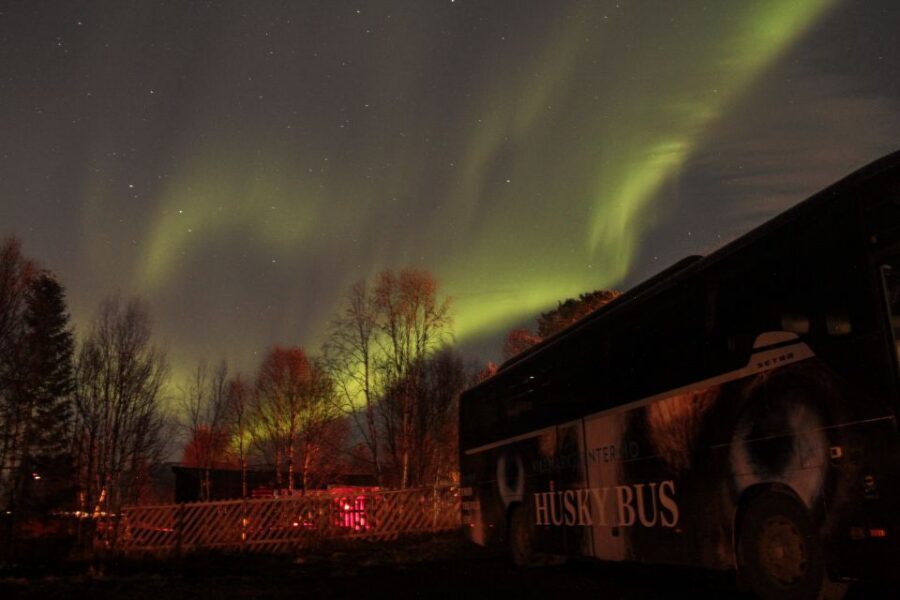 Tromsø: Northern Lights Husky Visit with Traditional Dinner - Sami lavvo warmth: waiting for the aurora without suffering