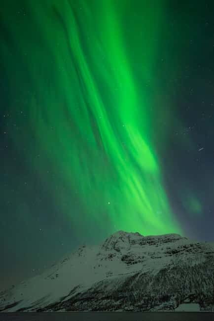 Tromsø: Northern Lights in a Minivan with Free Photos and a Hot Meal - Key things to know before you go