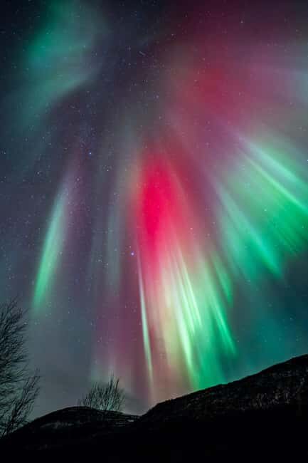 Tromsø: Northern Lights in a Minivan with Free Photos and a Hot Meal - The campfire part: soup, cookies, and hot drinks in the Arctic dark