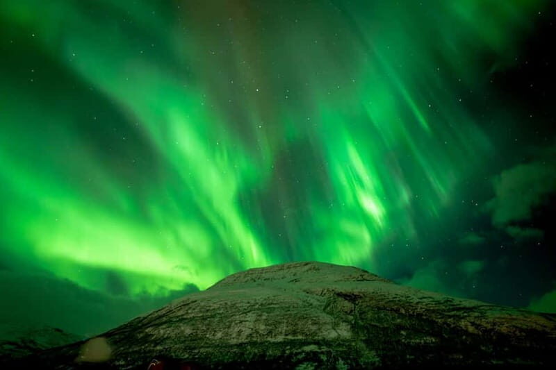 Tromsø: Northern Lights in a Minivan with Free Photos and a Hot Meal - Price and value: is $213 fair for Tromsø aurora hunting?
