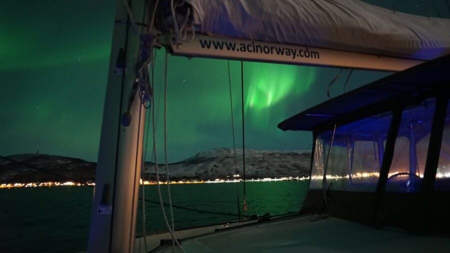 Tromsø: Northern Lights Luxury Catamaran Cruise - Key Things I’d Watch For Before You Go