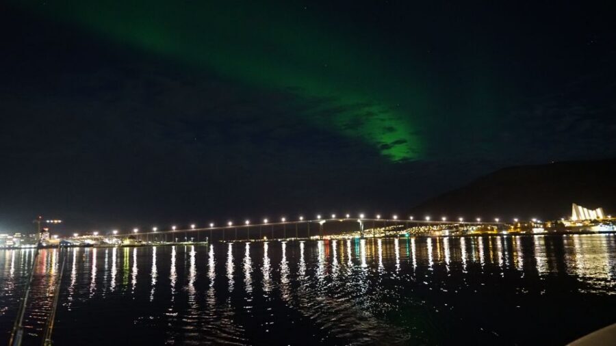 Tromsø: Northern Lights Luxury Catamaran Cruise - Warm Drinks, Local Fish Soup, and a Captain Who Cooks