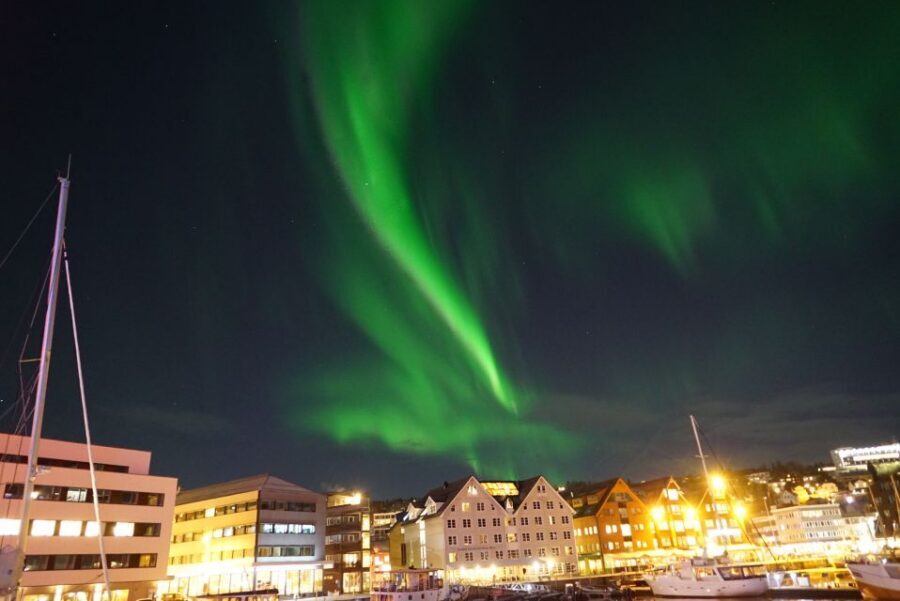 Tromsø: Northern Lights Luxury Catamaran Cruise - Comfort vs. Expectations: Who This Cruise Fits Best
