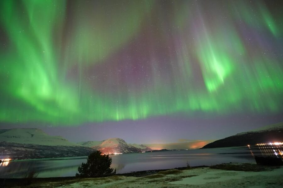Tromso: Northern Lights Minibus Tour with Campfire - Key highlights worth your attention