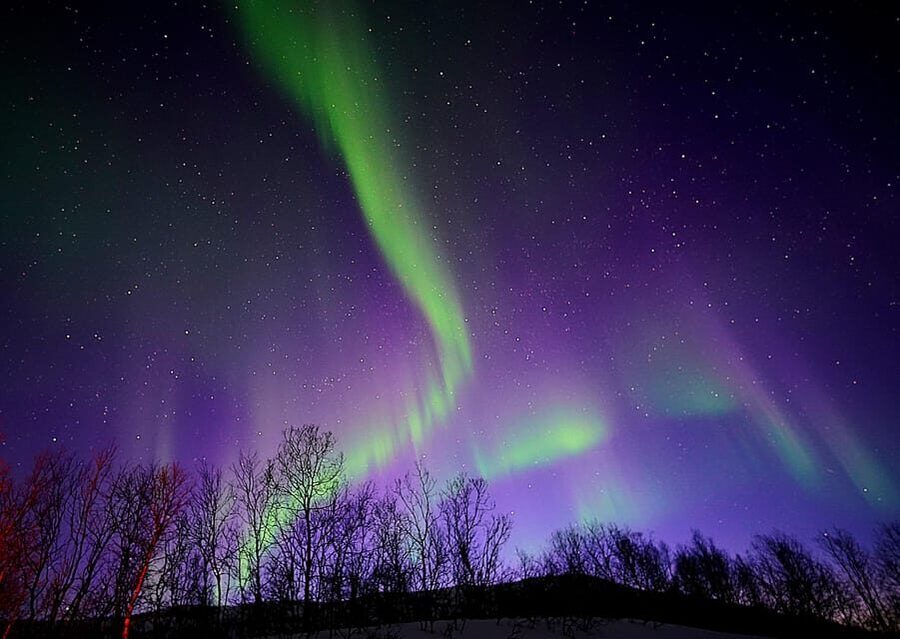 Tromso: Northern Lights Minibus Tour with Campfire - From Tromsø’s Glow to Darker Skies: How the Minibus Aurora Chase Works
