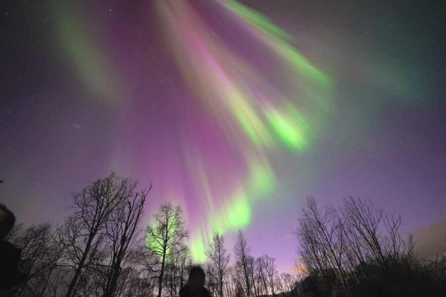 Tromso: Northern Lights Minibus Tour with Campfire - The route changes fast: driving outside Norway and why your passport counts