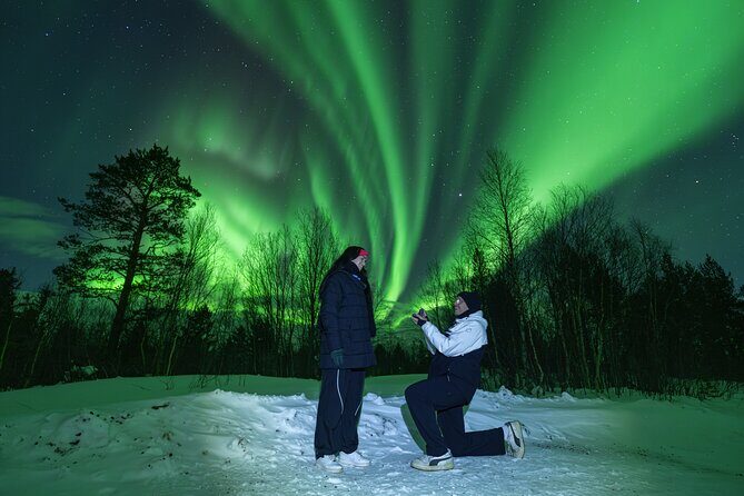 Tromsø: Northern Lights Minibus Tour with Expert Guides - Quick hits before you go