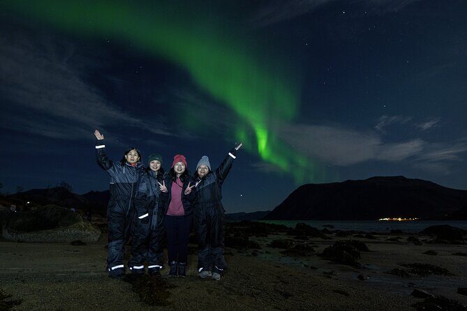 Tromsø: Northern Lights Minibus Tour with Expert Guides - Professional aurora photos: how the included service helps