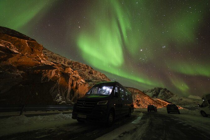 Tromsø: Northern Lights Minibus Tour with Expert Guides - Price and value: is $139.98 worth it?