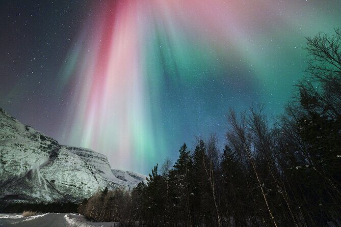Tromsø: Northern Lights Minibus Tour with Expert Guides - Weather risk and what cancellations really mean