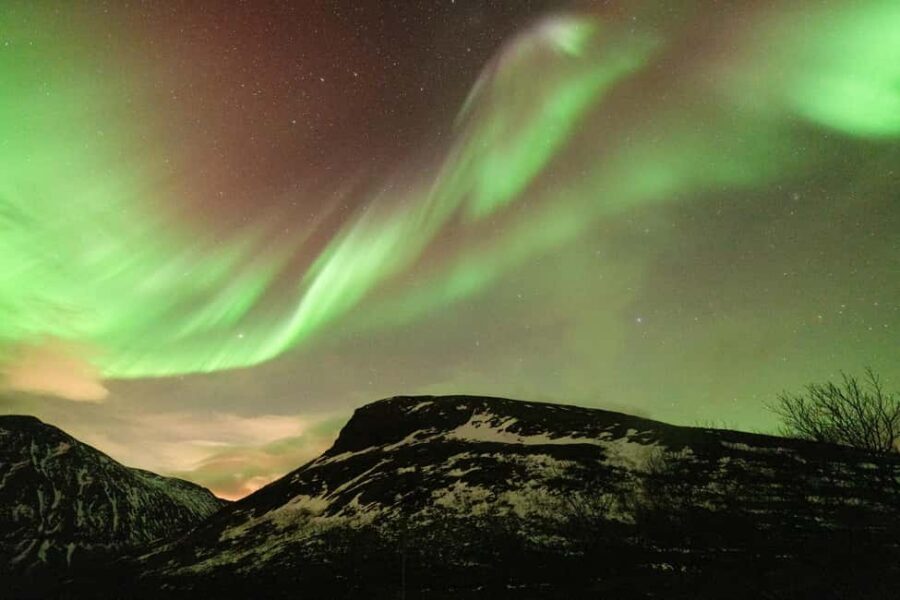 Tromsø: Northern Lights Minibus Tour with Local Experts - Price and value: $116 for comfort, chasing, and photos