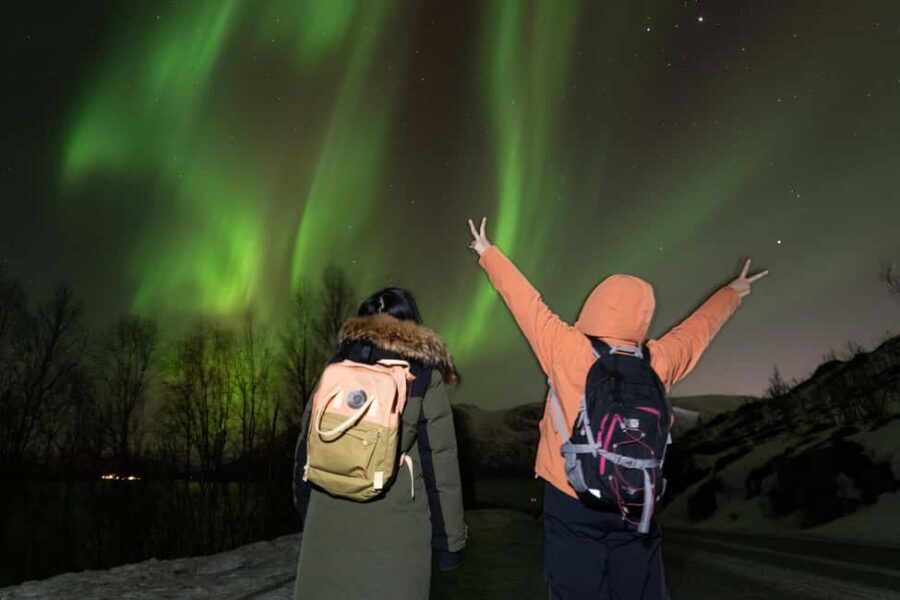 Tromsø: Northern Lights Minibus Tour with Local Experts - What you eat on an Arctic night: sausages, snacks, and fire-grilling