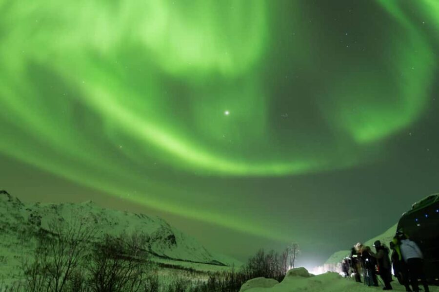 Tromsø: Northern Lights Minibus Tour with Local Experts - Pro photos: included courtesy, and a heads-up on resolution