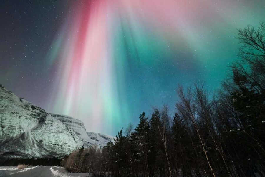 Tromsø: Northern Lights Minibus Tour with Local Experts - Timing, safety rules, and what to do with your body in the cold
