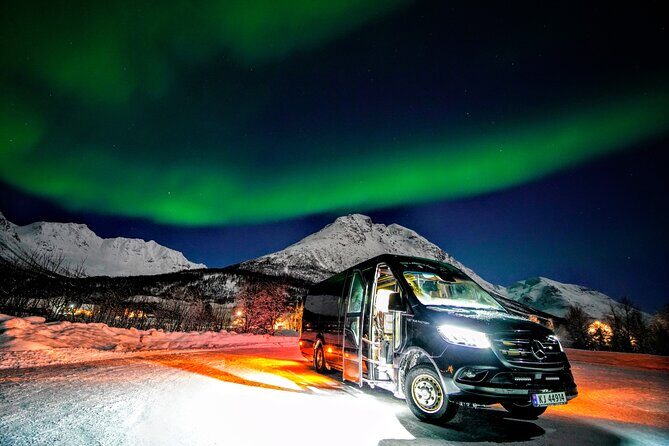TROMSO | NORTHERN LIGHTS PIONEERS | Photos included - Your Guide Matters: Why Patient, Persistent Hosting Changes Everything