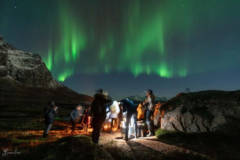 Tromsø: Northern Lights Safari with Expert Guides and Photos - Entering The Arctic With a Real Aurora Plan