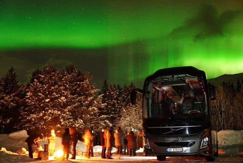 Tromsø: Northern Lights Safari with Expert Guides and Photos - When the Lights Appear: How the Photos Work Without Ruining Your View