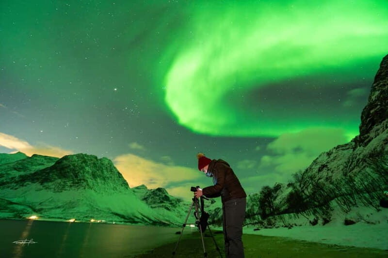 Tromsø: Northern Lights Safari with Expert Guides and Photos - Route Flexibility: Near Tromsø or Fjords and Border Skies
