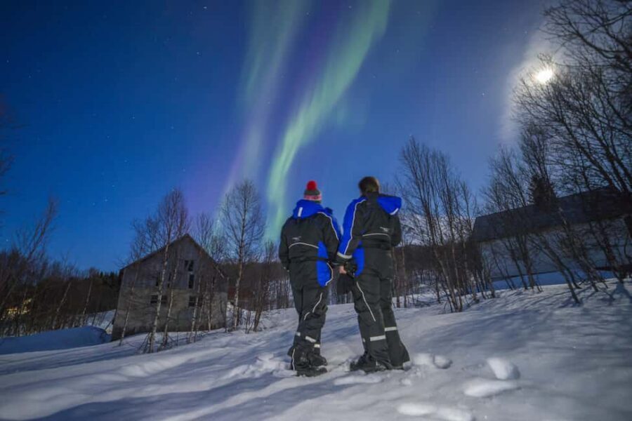 Tromsø: Northern Lights Tour in Glass Minibus with Dinner - Key things that make this tour worth your time