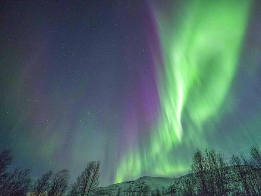 Tromsø: Northern Lights Tour in Glass Minibus with Dinner - How the route adapts: Kvaløya, inland, or crossing into Finland