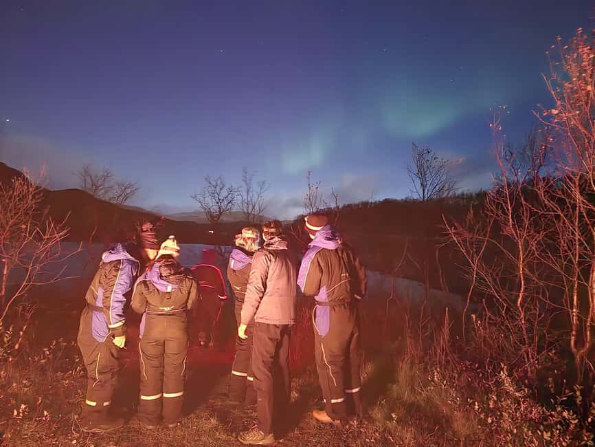 Tromsø: Northern Lights Tour in Glass Minibus with Dinner - Warm suits, boots, and headlamps: the comfort details that matter
