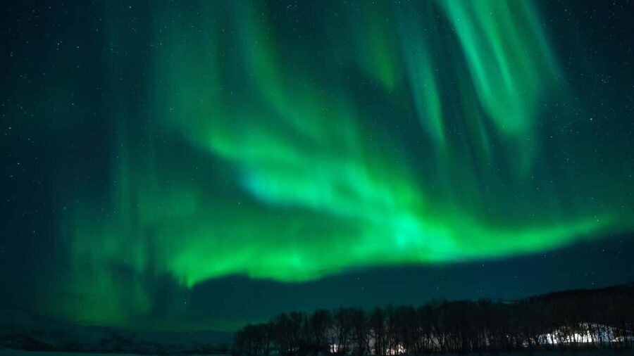 Tromsø: Northern Lights Tour in Glass Minibus with Dinner - What the guided experience adds: more than just a viewpoint