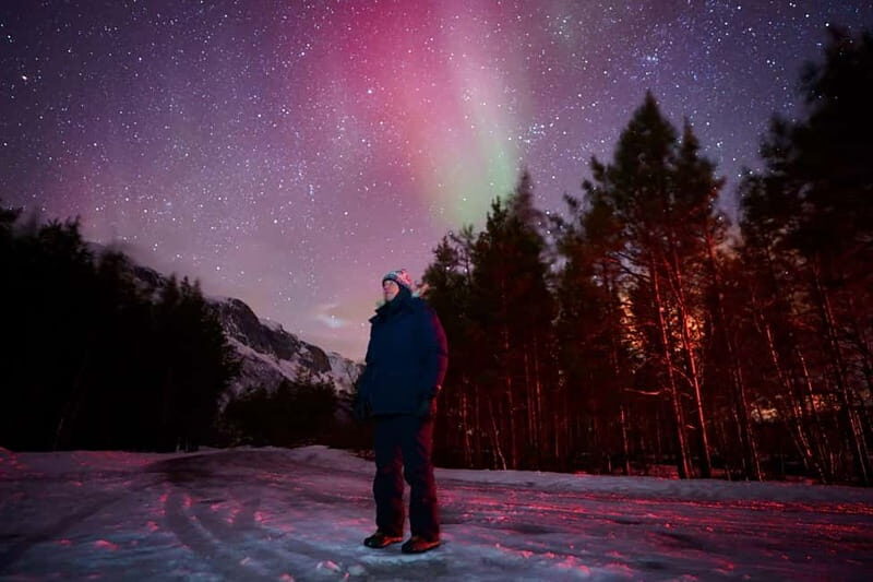 Tromsø: Northern Lights Tour (Max 8) Pickup + Finland - Key Things That Make This Tour Worth Your Time