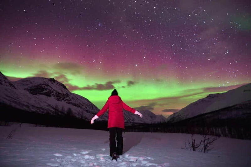 Tromsø: Northern Lights Tour (Max 8) Pickup + Finland - How the Forecast-Based Chase Actually Works