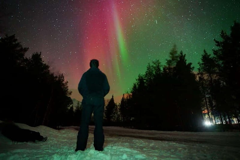 Tromsø: Northern Lights Tour (Max 8) Pickup + Finland - Snacks, Hot Drinks, and the Restroom Reality