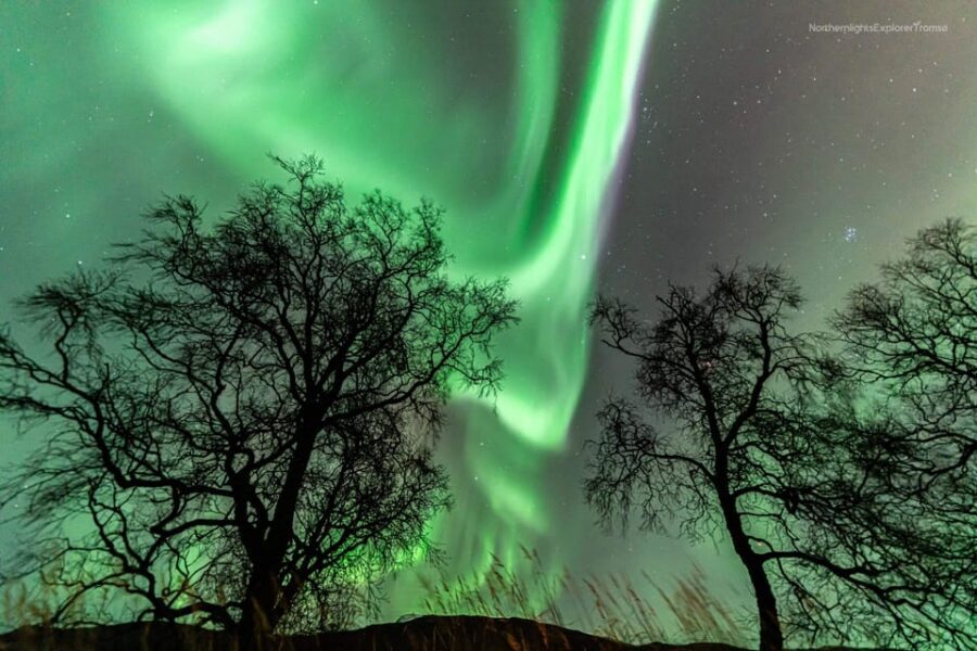 Tromsø: Northern Lights Tour w/Photo, Suits and Local Guide - Group Size and Guide Style: You’ll Actually Get Attention